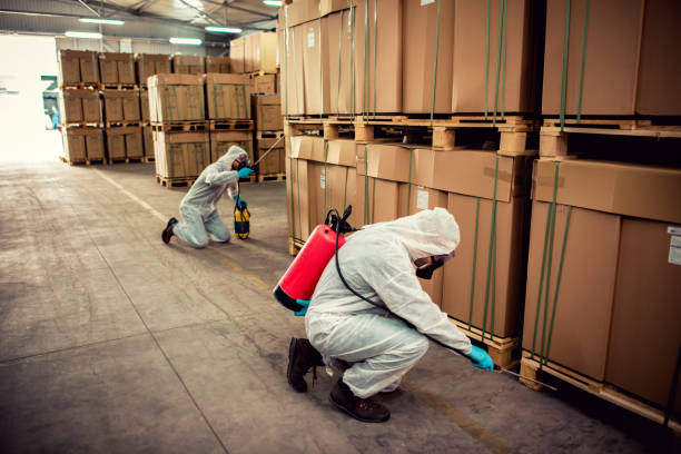Professional Pest Control in Fairbury, NE