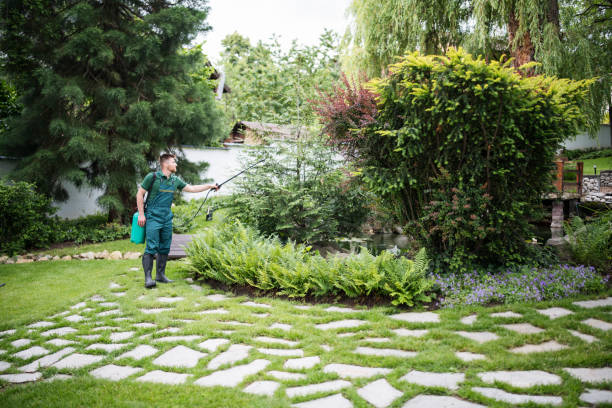 Best Residential Pest Control  in Fairbury, NE