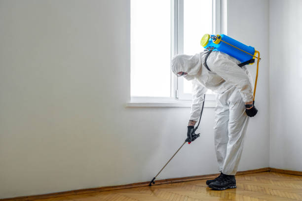Best Best Pest Control Companies  in Fairbury, NE