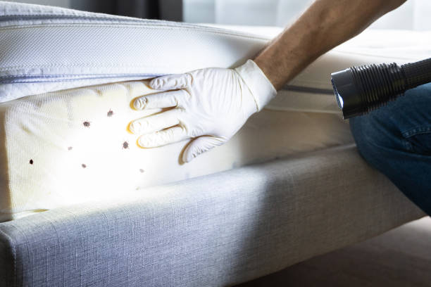 Best Cockroach Control Services  in Fairbury, NE