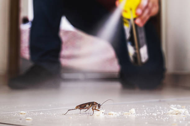 Best Local Pest Control Services  in Fairbury, NE